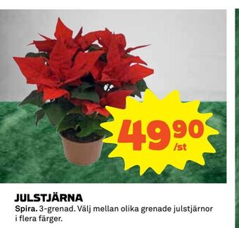 Coop Julstjärna erbjuda