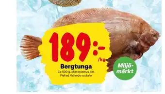 Carlton bergtunga