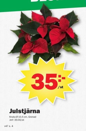 Pekås Coop krukväxt erbjuda