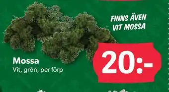 DollarStore Mossa erbjuda
