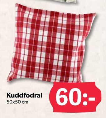 DollarStore Kuddfodral erbjuda