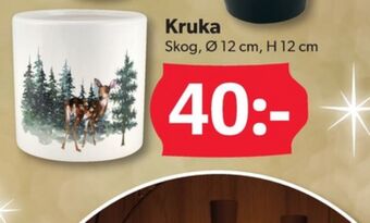 DollarStore Krukor erbjuda