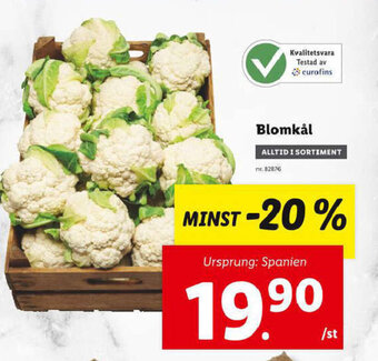 Lidl Blomkål erbjuda