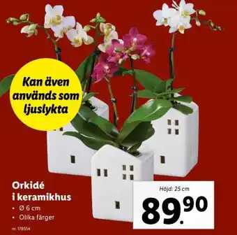 Lidl Orkidé i Keramikhus erbjuda