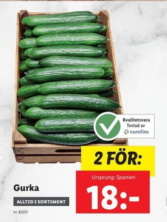 Lidl Gurka erbjuda