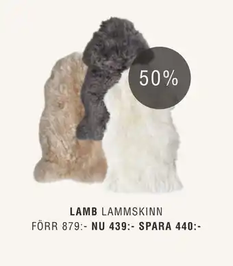 ILVA Lamb lammskinn erbjuda