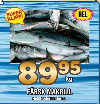 Nya Pulsen Färsk makrill erbjuda