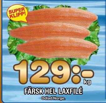 Nya Pulsen Färsk hel laxfilé erbjuda