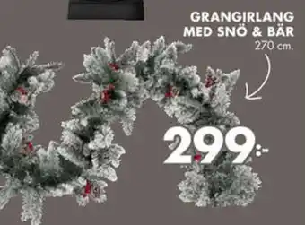 Grangirlang Med Snö & Bär