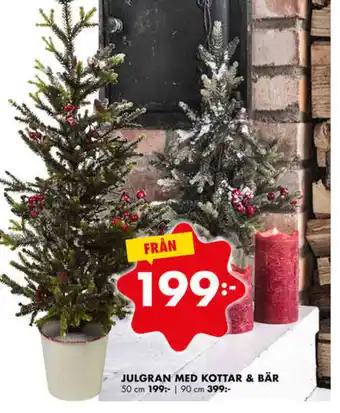 ÖoB Julgran Med Kottar & Bär erbjuda
