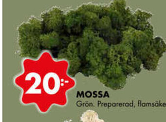 ÖoB Mossa erbjuda