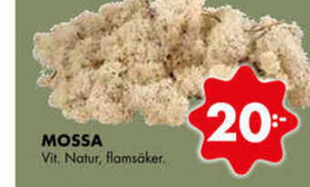 Mossa