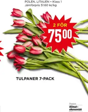 Willys Normeat blommor erbjuda