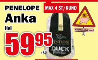 Matdax Anka erbjuda