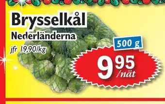 Brysselkål