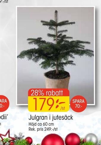 EKO Julgran i jutesäck erbjuda
