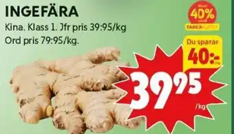 Ingefära