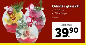 Lidl Orkidé i Glasskål erbjuda