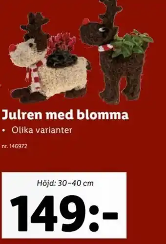 Lidl Julren Med Blomma erbjuda