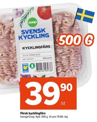 Färsk kycklingfärs