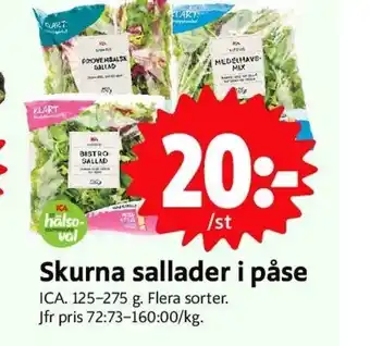 Skurna Sallader I Påse
