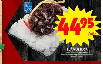 ICA Maxi Sjömat blåmusslor erbjuda