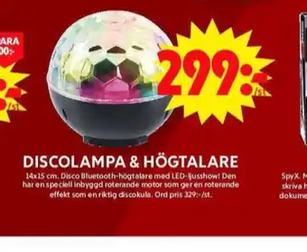 Spyx discokula