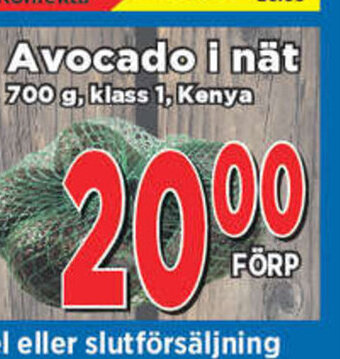 Supergrossen Avocado i Nät erbjuda