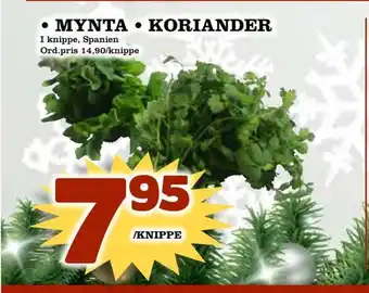 Din Mat Mynta • koriander erbjuda