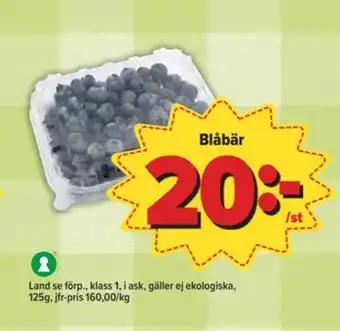 Östenssons Ljusgårda blåbär erbjuda