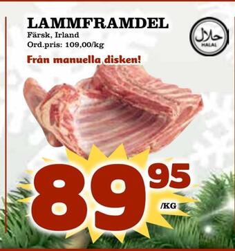 Supergrossen Lammframdel erbjuda