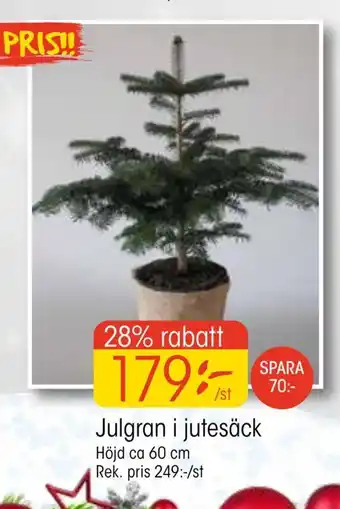 EKO Julgran i jutesäck erbjuda
