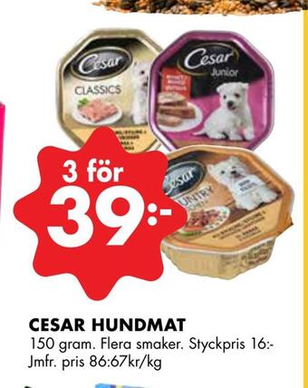 ÖoB Cesar hundmat erbjuda
