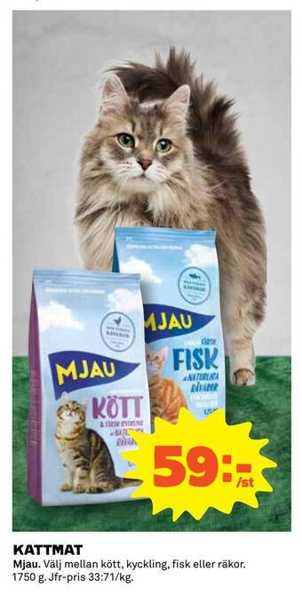 Kattmat