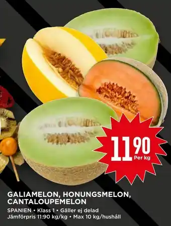 Willys Galiamelon, honungsmelon, cantaloupemelon erbjuda