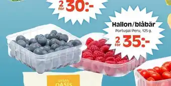 Hallon/blåbär