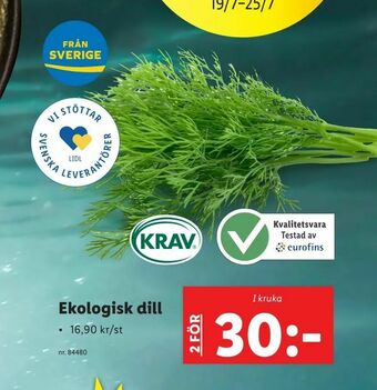 Lidl Ekologisk dill erbjuda
