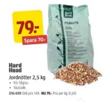 Jula Hard head jordnötter erbjuda