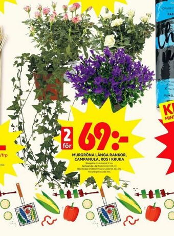 ICA Kvantum Plantor erbjuda
