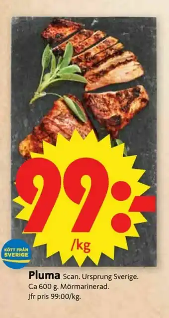 ICA Supermarket Scan Pluma erbjuda