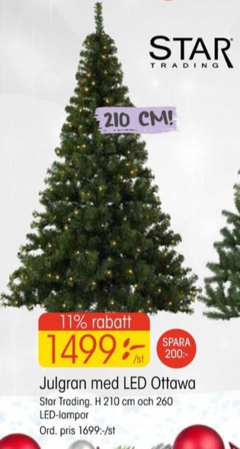 EKO Star trading julgran erbjuda