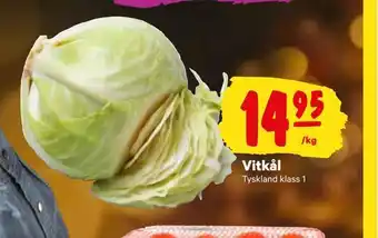 City Gross Vitkål erbjuda