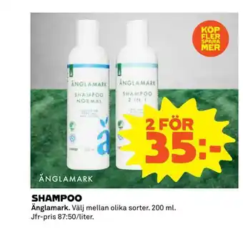Shampoo