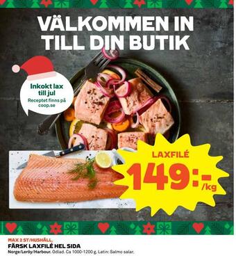 Färsk laxfilé hel sida