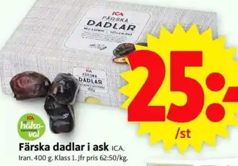 Färska Dadlar i Ask
