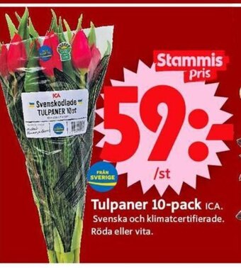 ICA Supermarket Tulpaner 10-pack erbjuda