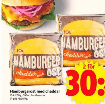 Hamburgerost Med Cheddar