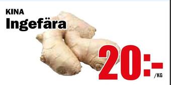 Matdax Ingefära erbjuda