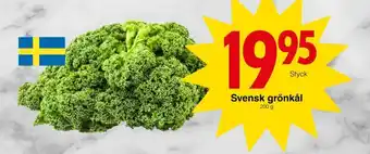 Matöppet Mellanrost grönkål erbjuda