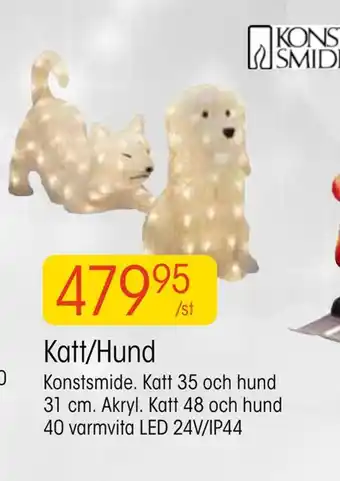 Katt/hund